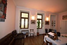 扁平 维也纳  奥地利