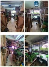 Estabelecimentos comerciais Wien Leilão / Foreclosure Áustria