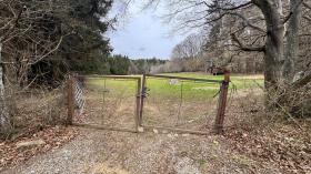 agricolo Superficie Muthmannsdorf Asta / preclusione Austria