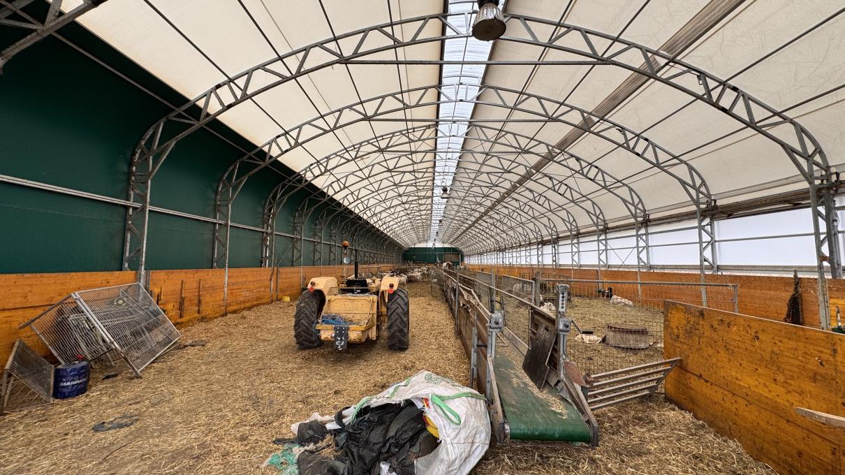 منطقة زراعية Dreistetten  النمسا