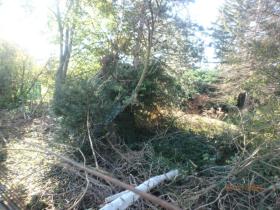byggegrunn Tvangsauksjon i Wiener Neustadt, Austria