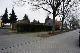 byggegrunn Barleben Til salgs Tyskland