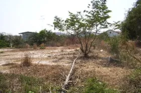 Eiendom land / skogbruk ประจวบคีรีขันธ์  Thailand