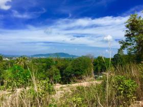 Grundstück Land-/Forstwirtschaft zu verkaufen in Phuket, Thailand