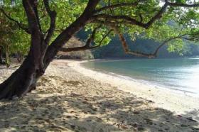 Property land/forestry for sale in Phang-nga Province, Thailand
