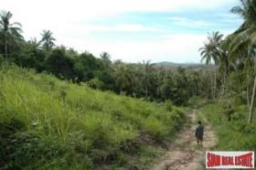 Property land/forestry for sale in Surat Thani, Thailand