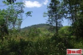 Propriedade da terra / florestal à venda em กระบี่, Tailândia
