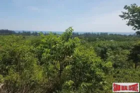 Property land / bosbouw Bangkok Te Koop Thailand