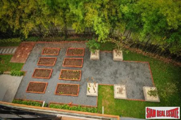 Property land/forestry Chiang Mai for sale Thailand
