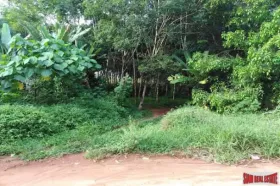 Property land/forestry for sale in Phang-nga Province, Thailand