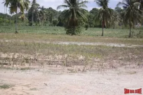 Property land / bosbouw Chon Buri Te Koop Thailand