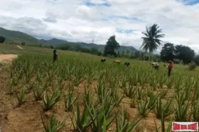 Property land/forestry ประจวบคีรีขันธ์ for sale Thailand