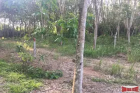 Property Land / erdo"gazdálkodás กระบี่ Eladó Thaiföld