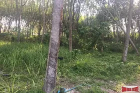 Property Land / erdo"gazdálkodás กระบี่ Eladó Thaiföld
