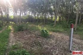 Property Land / erdo"gazdálkodás กระบี่ Eladó Thaiföld