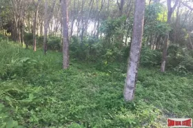 Property Land / erdo"gazdálkodás กระบี่ Eladó Thaiföld