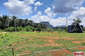 Propriedade da terra / florestal กระบี่ Venda Tailândia