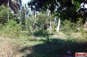 Property Land / erdo"gazdálkodás Surat Thani Eladó Thaiföld