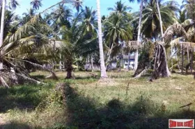 Property Land / erdo"gazdálkodás Surat Thani Eladó Thaiföld