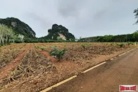 フラット กระบี่  タイ
