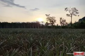 フラット กระบี่  タイ