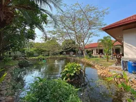 房屋 ประจวบคีรีขันธ์  泰国