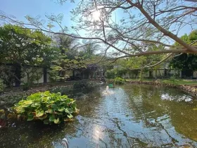 房屋 ประจวบคีรีขันธ์  泰国