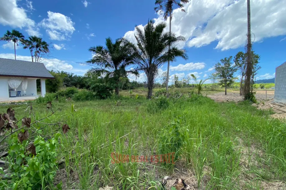 Terrain sylviculture nationale กระบี่ Achat Thaïlande