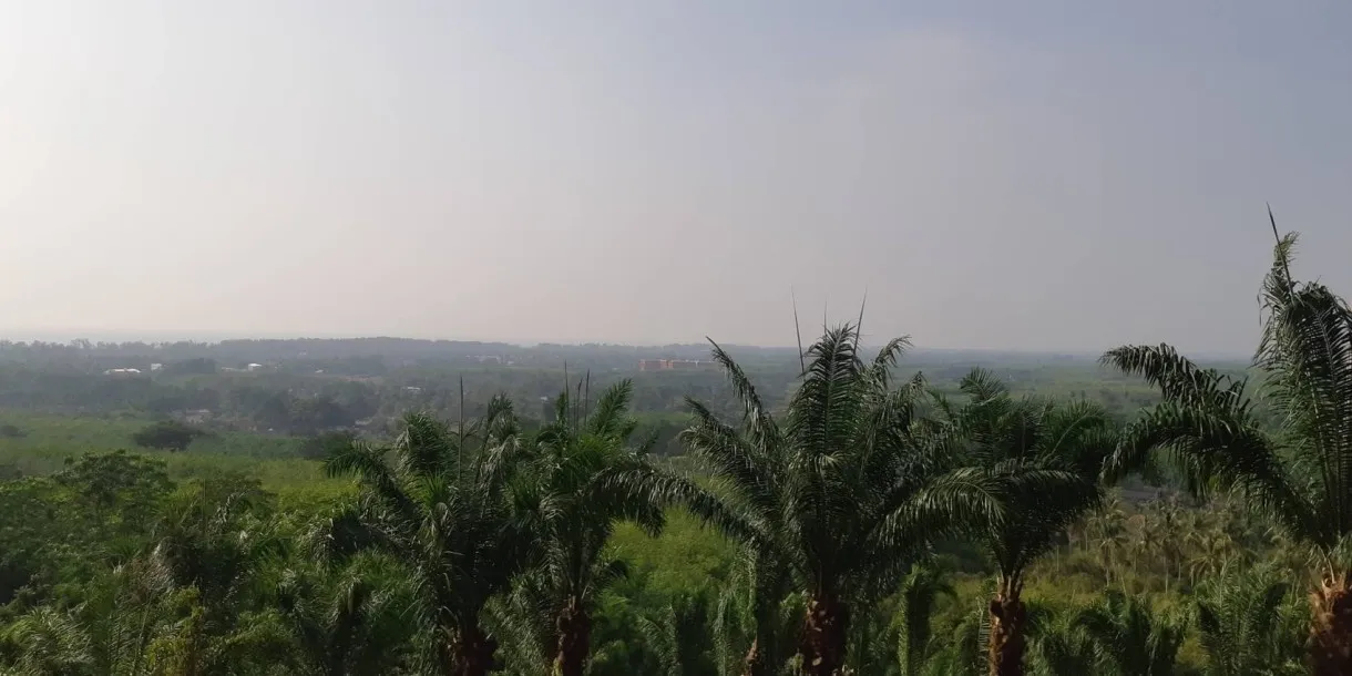Property land/forestry Phuket for sale Thailand