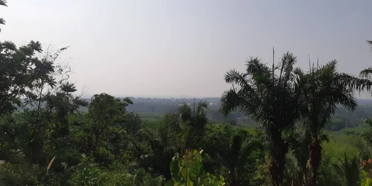 Property land/forestry Phuket for sale Thailand