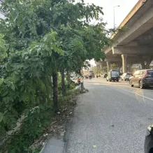 Proprietà terreni / forestale Bangkok Vendita Tailandia