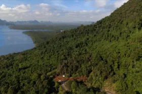 Property land/forestry for sale in กระบี่, Thailand