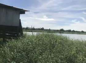 Собственность земли / лесной Бангкок Продажа Таиланд
