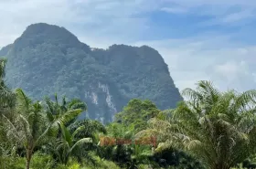 土地 农业/林业 กระบี่  泰国