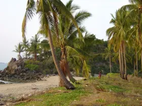 Property land / bosbouw te koop in Bangkok-Bueng Kum District, Thailand
