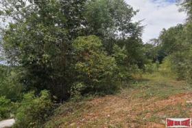 الملكية الزراعة/الحراجة Phuket  تايلاند