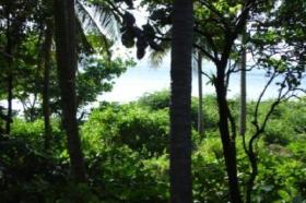 Property land/forestry Bangkok for sale Thailand