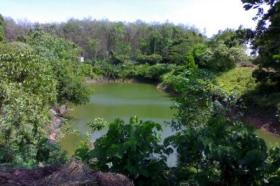 Propriedade da terra / florestal à venda em Phuket, Tailândia Propriedade da terra / florestal à venda em Phuket, Tailândia