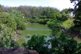 Emlak arazi / ormancılık satılık 'de Phuket, Tayland