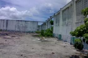 الملكية الزراعة/الحراجة Phuket  تايلاند