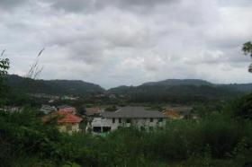 الملكية الزراعة/الحراجة Phuket  تايلاند