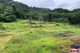 الملكية الزراعة/الحراجة Phuket  تايلاند