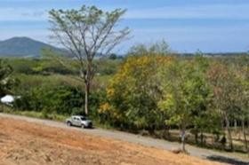 الملكية الزراعة/الحراجة Phuket  تايلاند