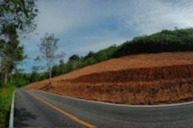 الملكية الزراعة/الحراجة Phuket  تايلاند