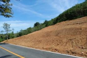 الملكية الزراعة/الحراجة Phuket  تايلاند