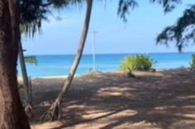 الملكية الزراعة/الحراجة Phuket  تايلاند