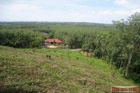 الملكية الزراعة/الحراجة Phuket  تايلاند