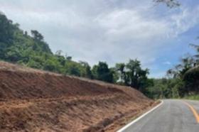 الملكية الزراعة/الحراجة Phuket  تايلاند