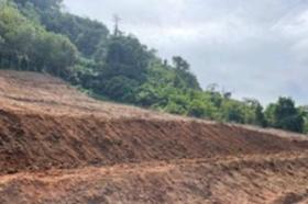 الملكية الزراعة/الحراجة Phuket  تايلاند