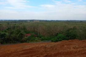 الملكية الزراعة/الحراجة Phuket  تايلاند